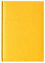 Notes Turyn żółty