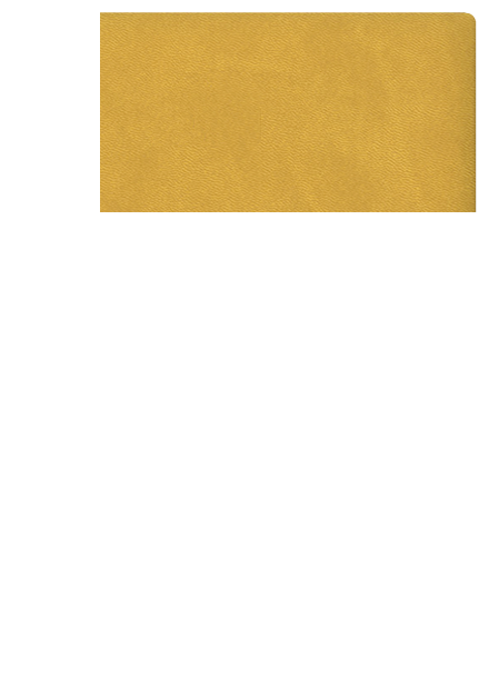 Turyn - żółty