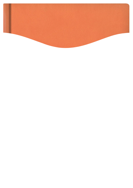 Turyn - pomarańczowy